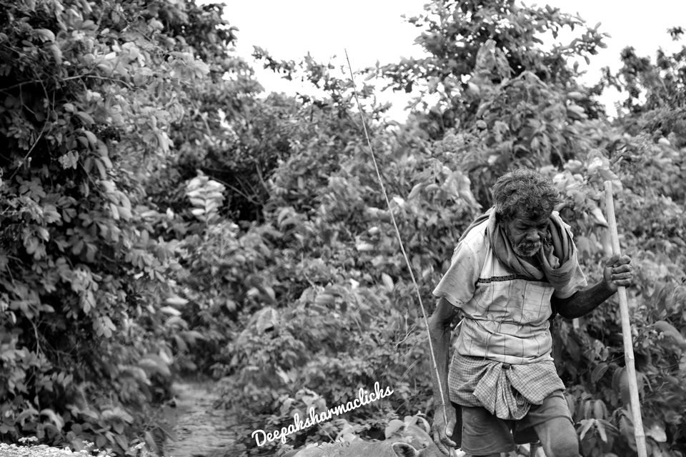 Photo of Ayodhya Hills- A Beautiful Tribal World Nested Inside a Dense Forest. by Deepak Sharma