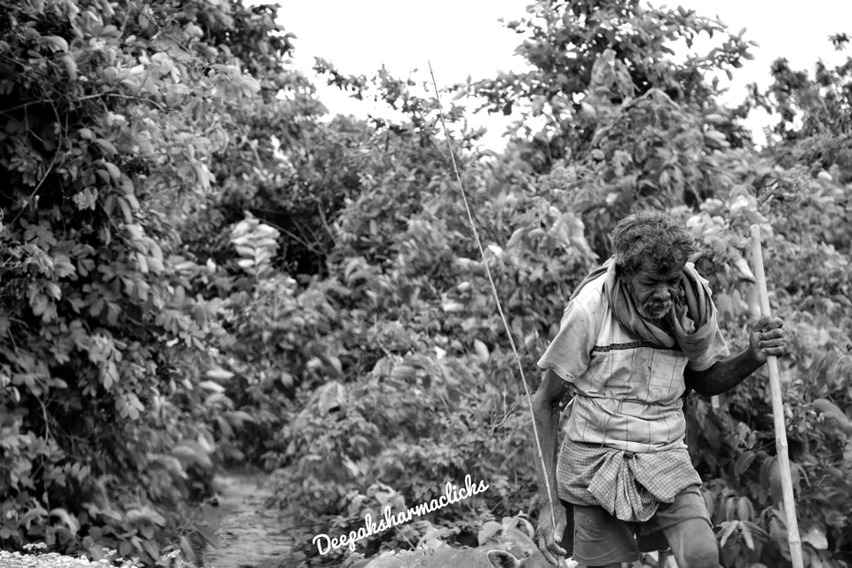 Photo of Ayodhya Hills- A Beautiful Tribal World Nested Inside a Dense Forest. by lonely musafir