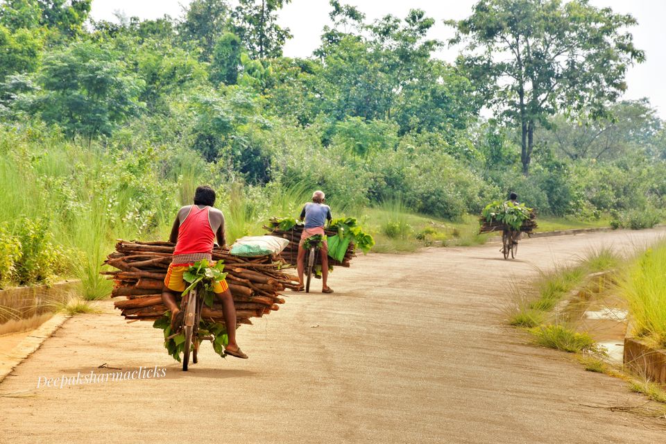 Photo of Ayodhya Hills- A Beautiful Tribal World Nested Inside a Dense Forest. by Deepak Sharma