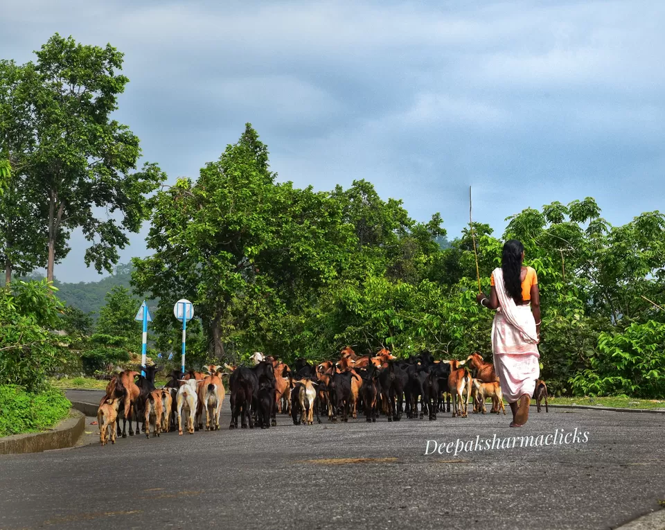Photo of Ayodhya Hills- A Beautiful Tribal World Nested Inside a Dense Forest. by lonely musafir