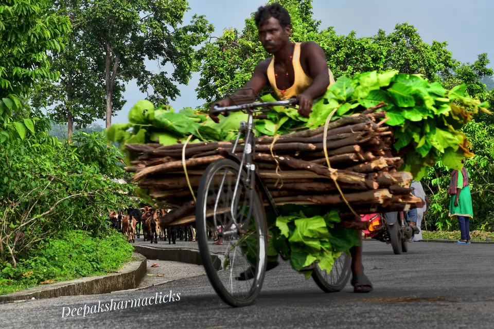 Photo of Ayodhya Hills- A Beautiful Tribal World Nested Inside a Dense Forest. by lonely musafir