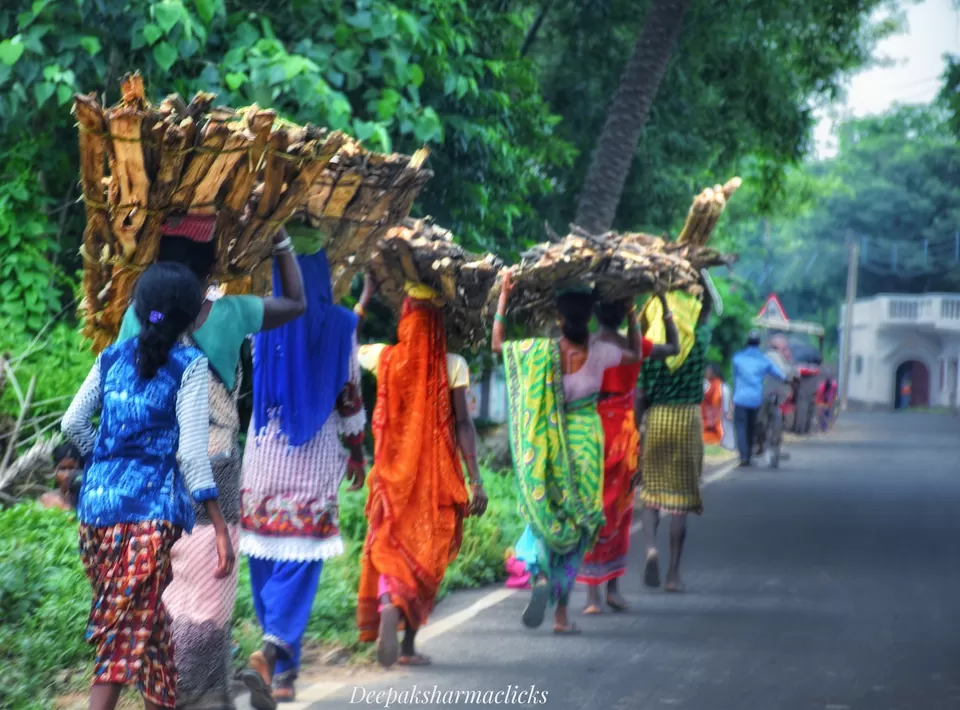 Photo of Ayodhya Hills- A Beautiful Tribal World Nested Inside a Dense Forest. by lonely musafir
