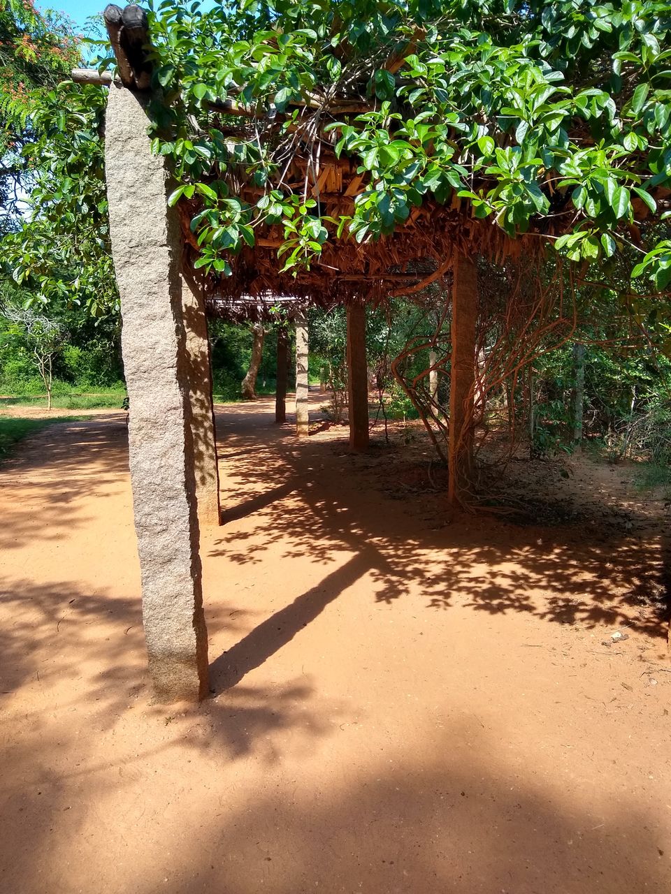 Photo of A Slice of France in India by Rasika Tamhane