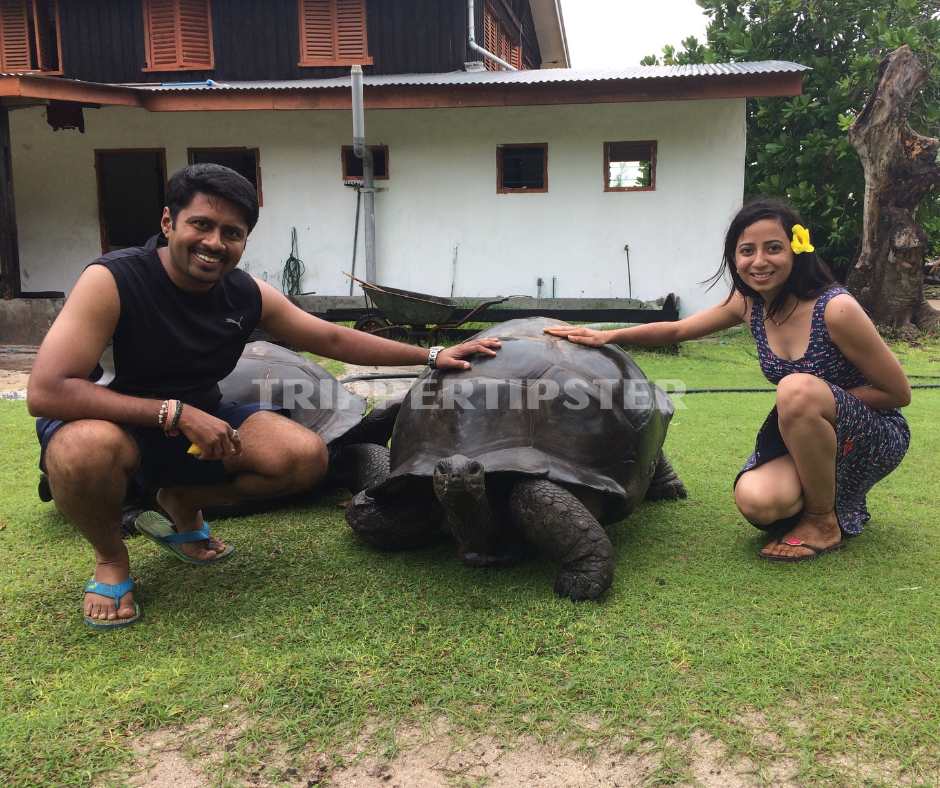 Photo of Honeymooners Guide to Seychelles - Luxury to Budget 3/5 by Rasika Tamhane