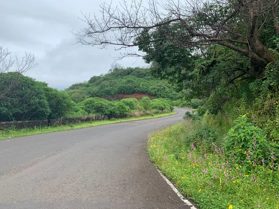 Photo of Mulshi, Maharashtra, India by Rasika Tamhane