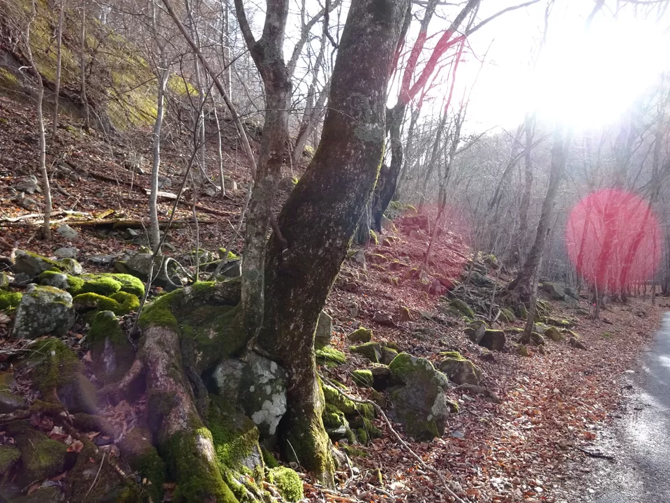 Photo of hiking around lake chuzenji by awantika kumari