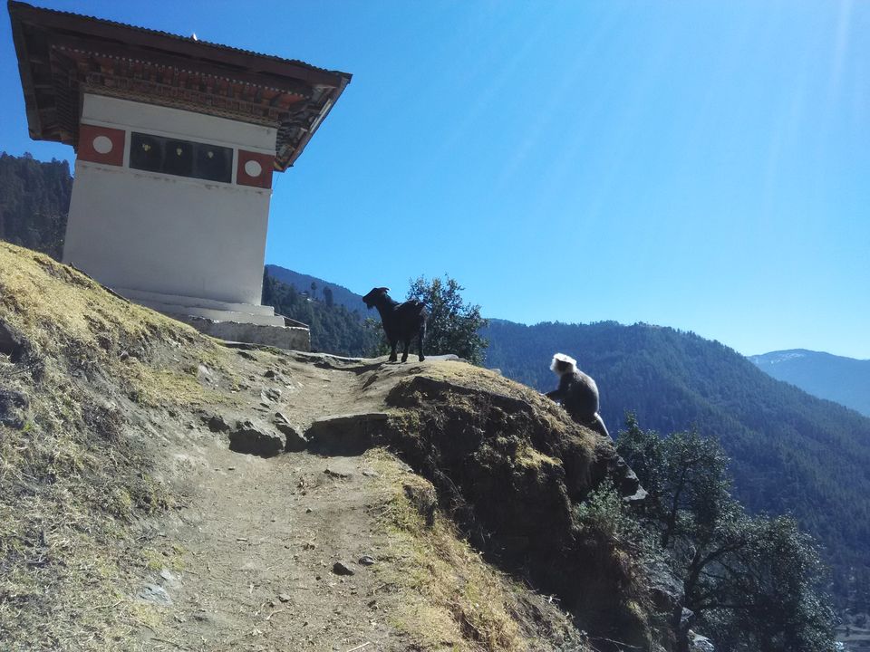 Photo of Crossing Border - Bhutan 93/132 by Anoop Menon
