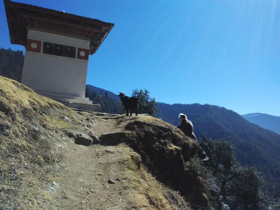 Photo of Crossing Border - Bhutan 94/132 by Anoop Menon