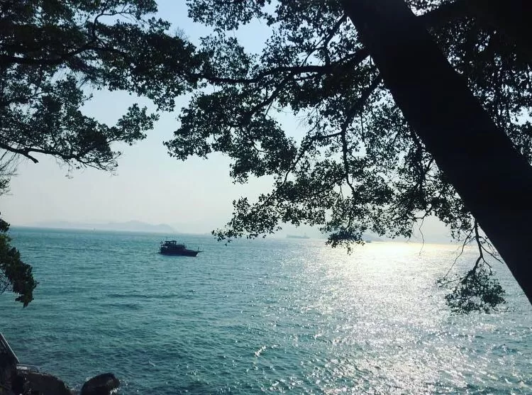 Photo of Sai Wan, 香港 by Tushita 