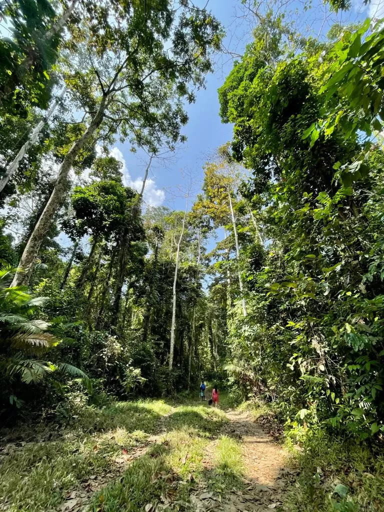 Photo of Elephant Beach, Port Blair, Andaman and Nicobar Islands, India by Tushita 