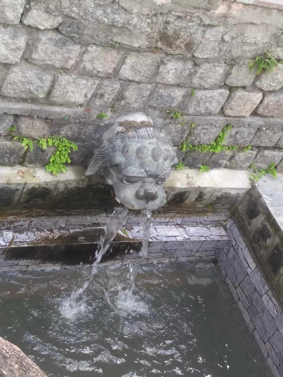 Photo of Norbulingka institute, Sidhpur, Himachal Pradesh, India by Ruchira Karkhanis