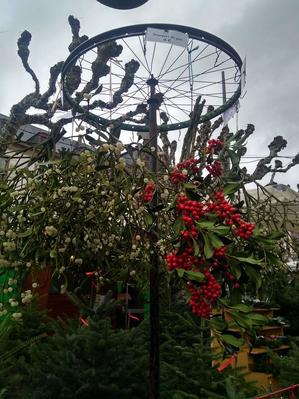 Photo of Christmas Markets, Europe 26/38 by Ruchira Karkhanis