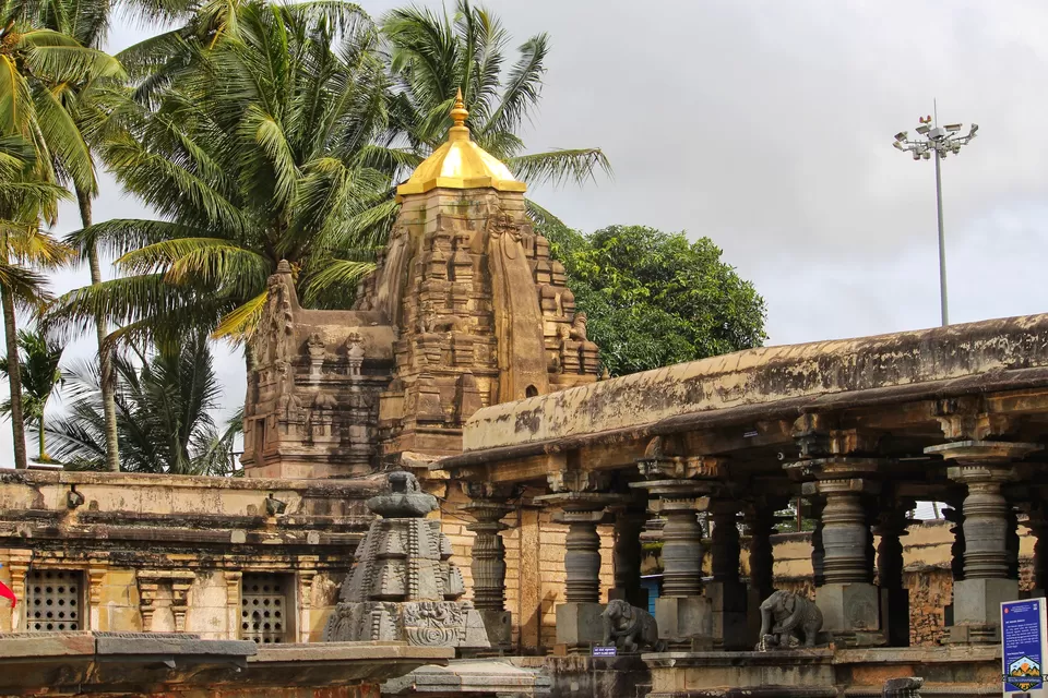 Photo of Chikmagalur in 48 hours by Indian Footsteps