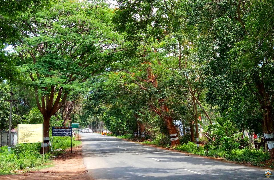 Photo of 48 hrs in Ooty and Coonoor by Indian Footsteps