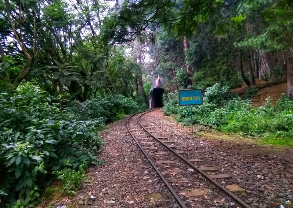 Photo of 48 hrs in Ooty and Coonoor by Indian Footsteps