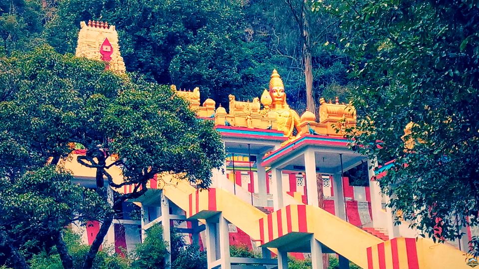 Photo of 48 hrs in Ooty and Coonoor by Indian Footsteps