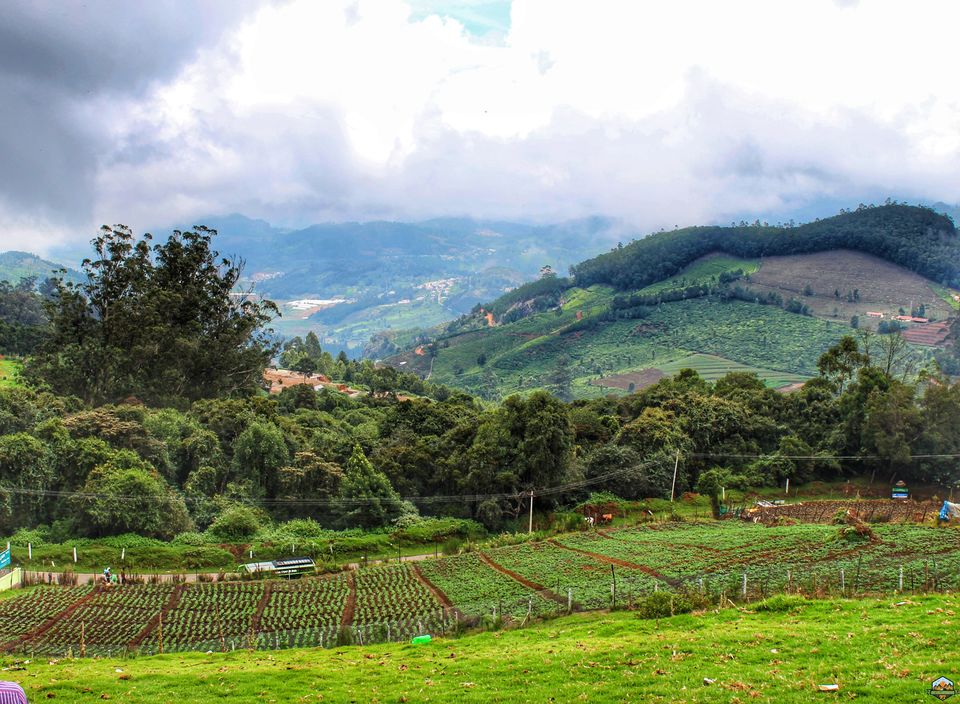 Photo of 48 hrs in Ooty and Coonoor by Indian Footsteps
