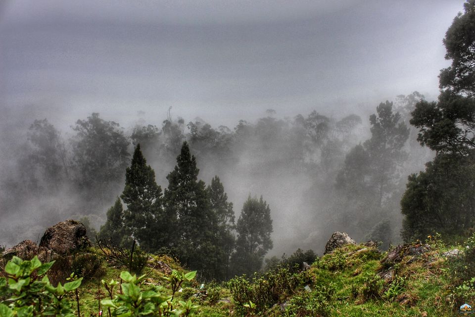 Photo of 48 hrs in Ooty and Coonoor by Indian Footsteps