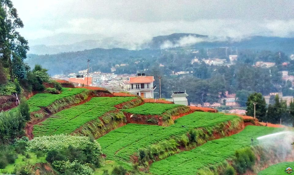 Photo of 48 hrs in Ooty and Coonoor by Indian Footsteps