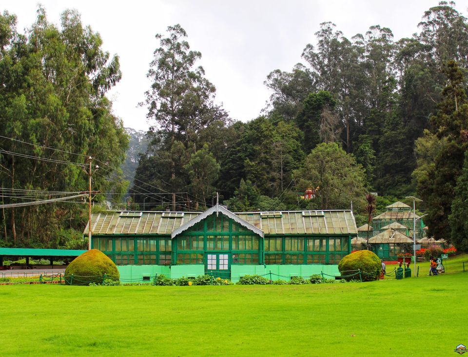 Photo of 48 hrs in Ooty and Coonoor by Indian Footsteps