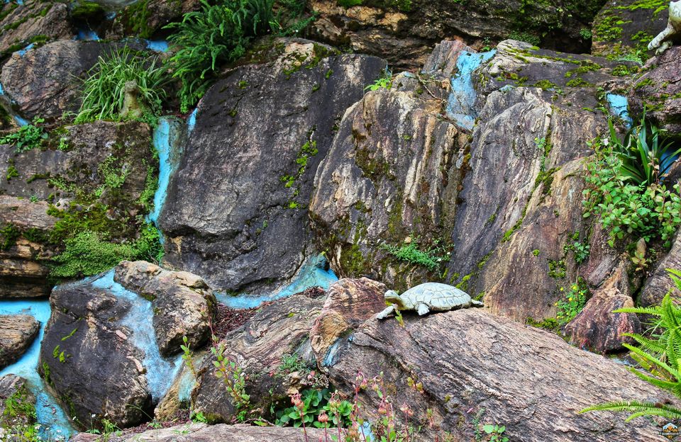 Photo of 48 hrs in Ooty and Coonoor by Indian Footsteps