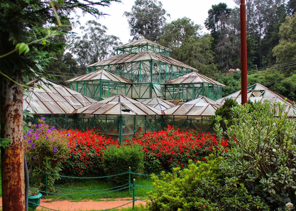 Photo of 48 hrs in Ooty and Coonoor by Indian Footsteps