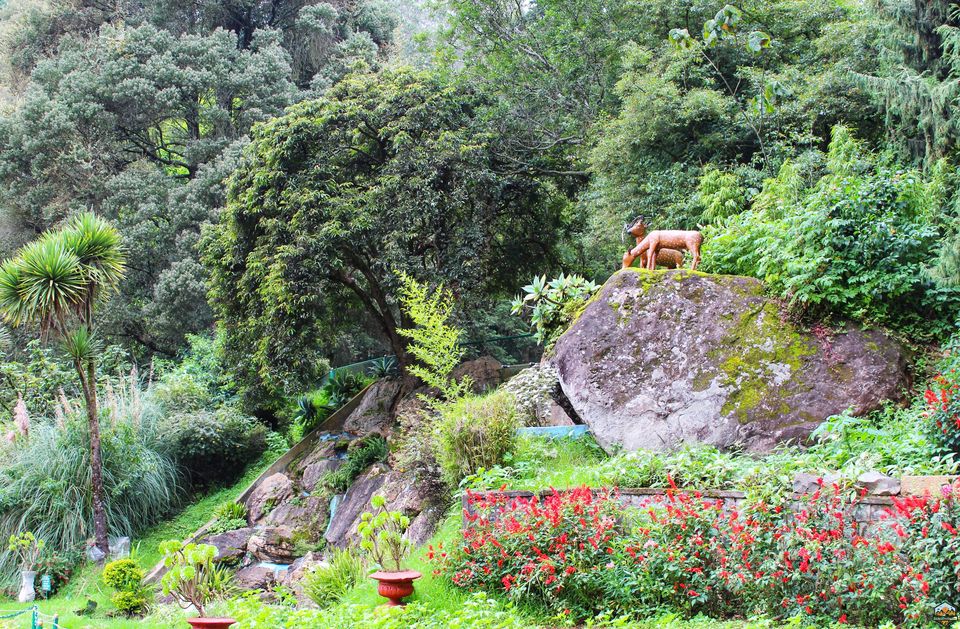 Photo of 48 hrs in Ooty and Coonoor by Indian Footsteps