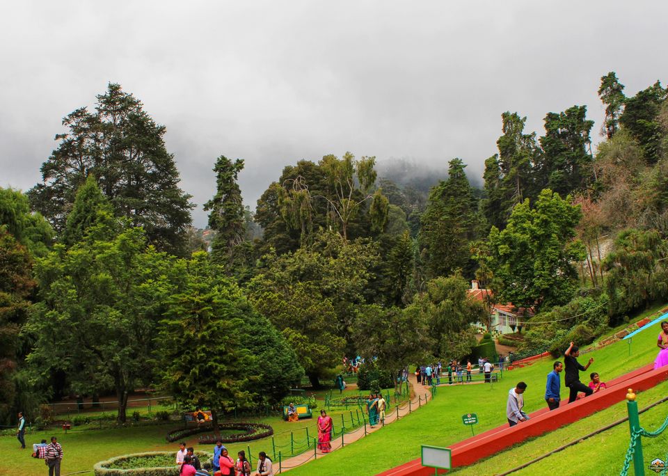 Photo of 48 hrs in Ooty and Coonoor by Indian Footsteps