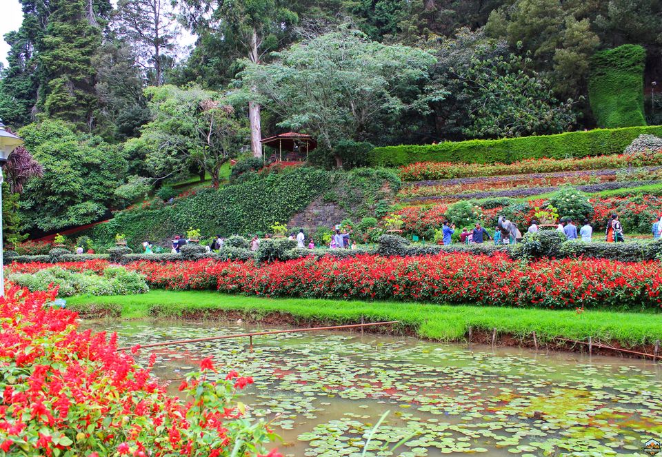 Photo of 48 hrs in Ooty and Coonoor by Indian Footsteps