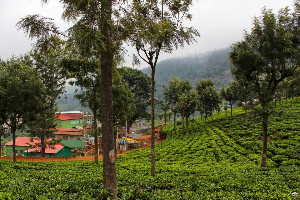 Photo of 48 hrs in Ooty and Coonoor by Indian Footsteps