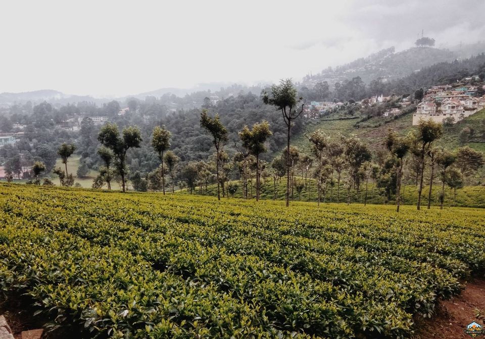 Photo of 48 hrs in Ooty and Coonoor by Indian Footsteps
