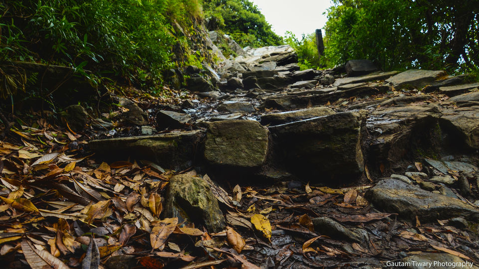 Photo of Triund Trek - Place you must go if you are in Himachal Pradesh 1/8 by Gautam Tiwary