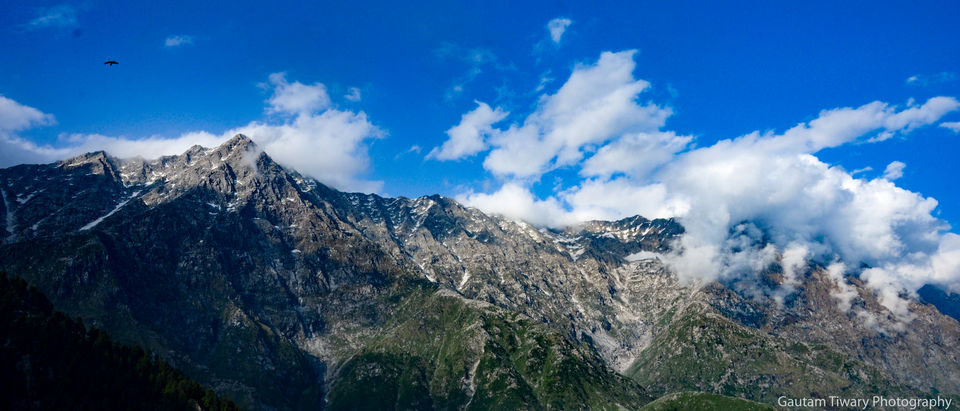Photo of Triund Trek - Place you must go if you are in Himachal Pradesh 5/8 by Gautam Tiwary