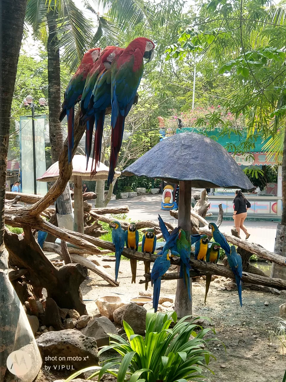Photo of Safari World, safari world, Wat Bowon Niwet, Phra Nakhon, Bangkok, Thailand by Vipul Vichare