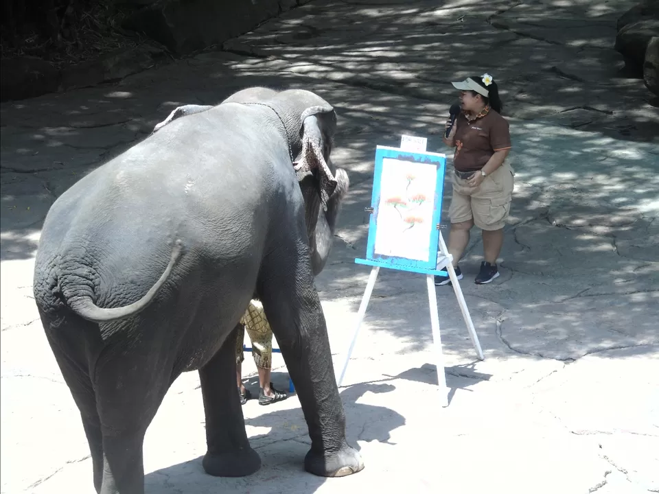 Photo of Safari World, safari world, Wat Bowon Niwet, Phra Nakhon, Bangkok, Thailand by Vipul Vichare