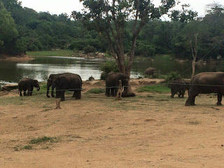 Photo of Coorg the Scotland of India 2/11 by Bhagyashri Karve (Shreebanjaran)