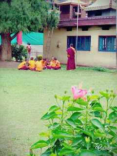 Photo of Coorg the Scotland of India 6/11 by Bhagyashri Karve (Shreebanjaran)