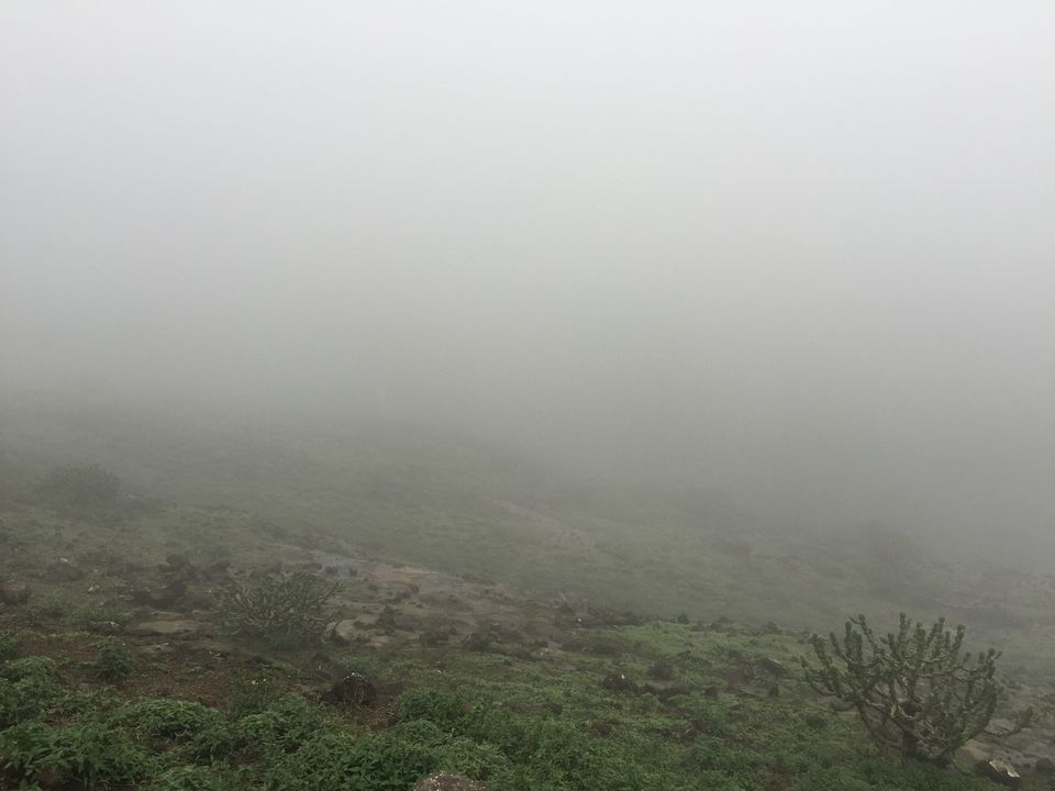 Photo of Trek to Harishchandragad by Shubhangi Chauhan