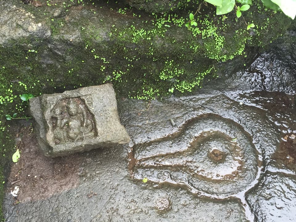 Photo of Trek to Harishchandragad by Shubhangi Chauhan