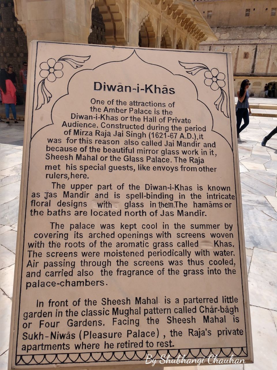Photo of Best of Jaipur in two days 14/65 by Shubh