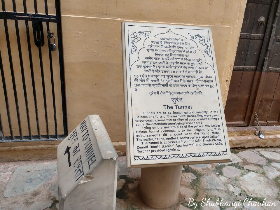 Photo of Best of Jaipur in two days 27/65 by Shubh