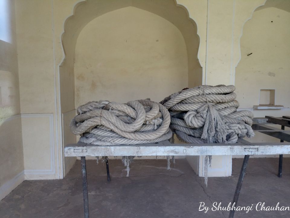 Photo of Best of Jaipur in two days 40/65 by Shubh