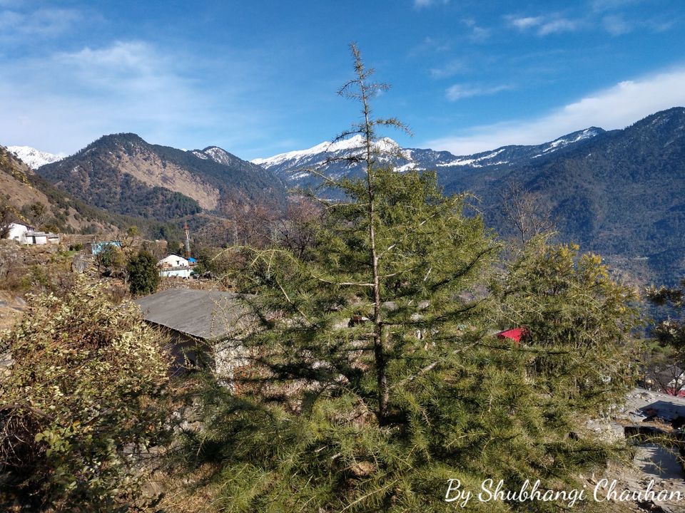 Photo of Winter Trek to Deoria Tal, Chopta, Tungnath and Chandrashila by Shubh