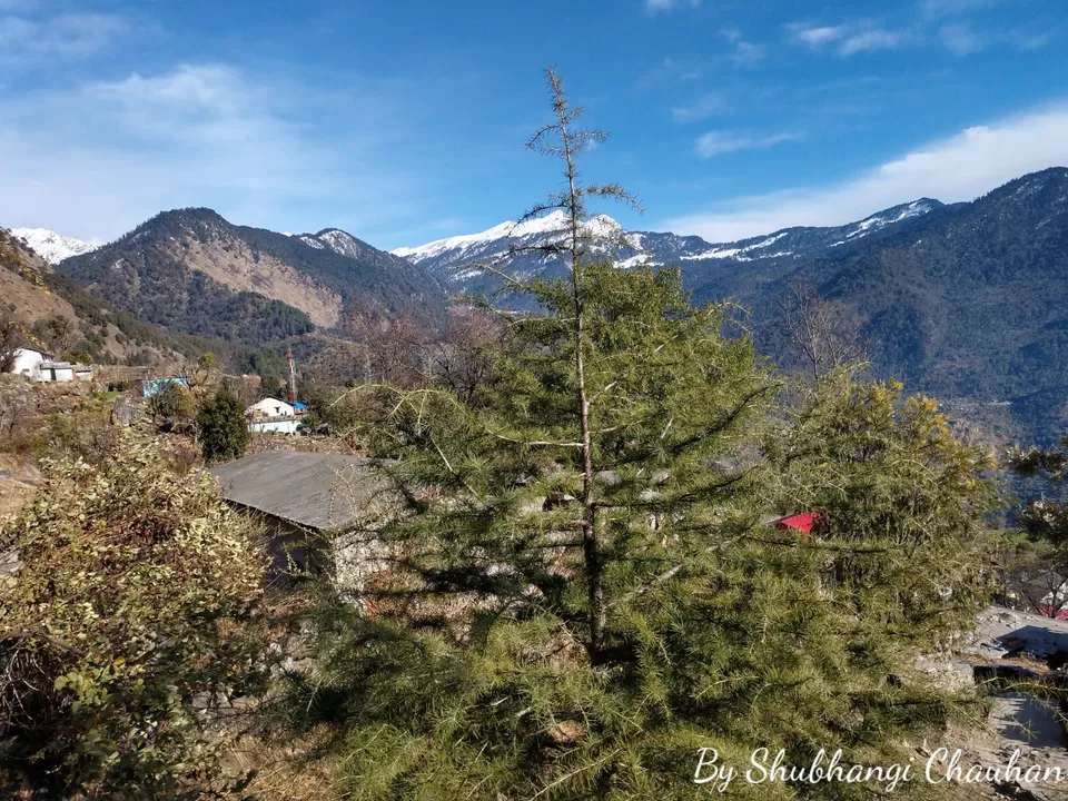 Photo of Winter Trek to Deoria Tal, Chopta, Tungnath and Chandrashila by Shubh