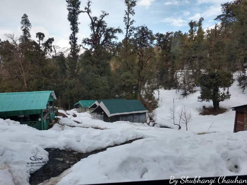 Photo of Winter Trek to Deoria Tal, Chopta, Tungnath and Chandrashila by Shubh
