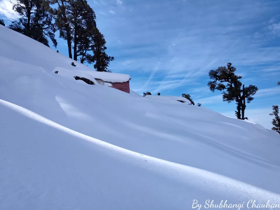 Photo of Chopta Tungnath Chandrashila Trekking, Uttarakhand, India by Shubh