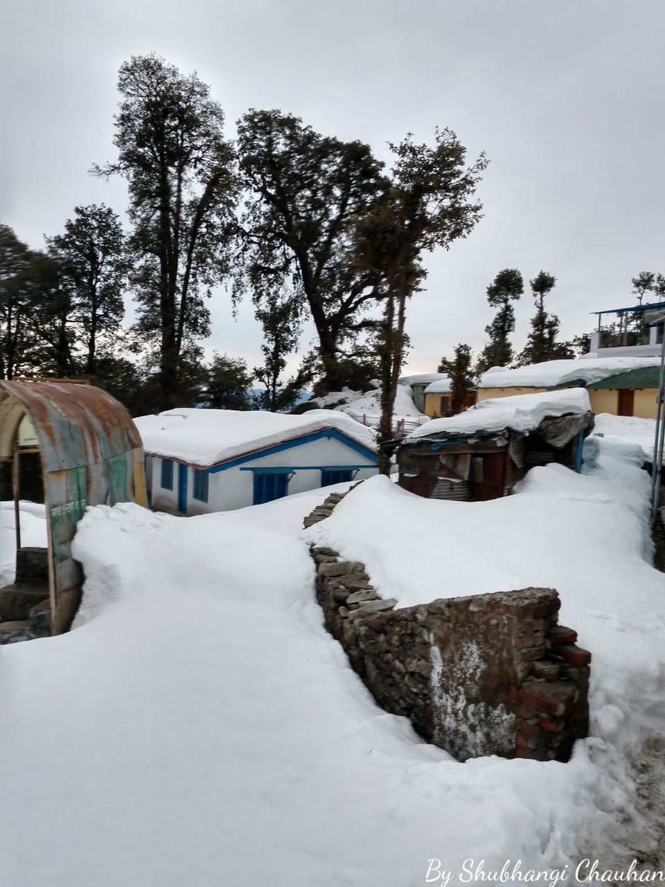 Photo of Winter Trek to Deoria Tal, Chopta, Tungnath and Chandrashila by Shubh