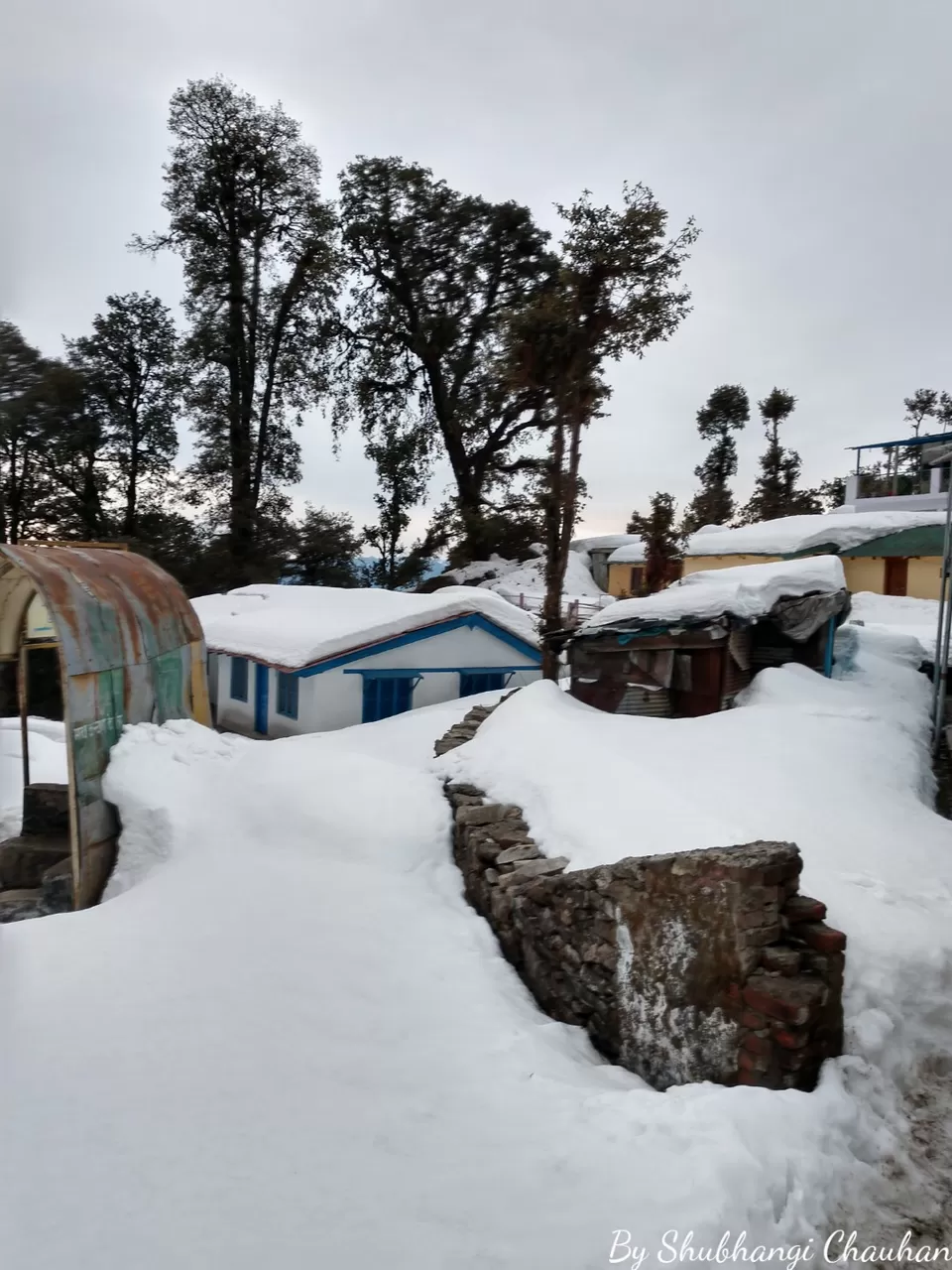 Photo of Winter Trek to Deoria Tal, Chopta, Tungnath and Chandrashila by Shubh