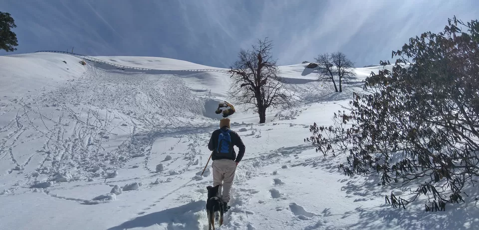 Photo of Winter Trek to Deoria Tal, Chopta, Tungnath and Chandrashila by Shubh