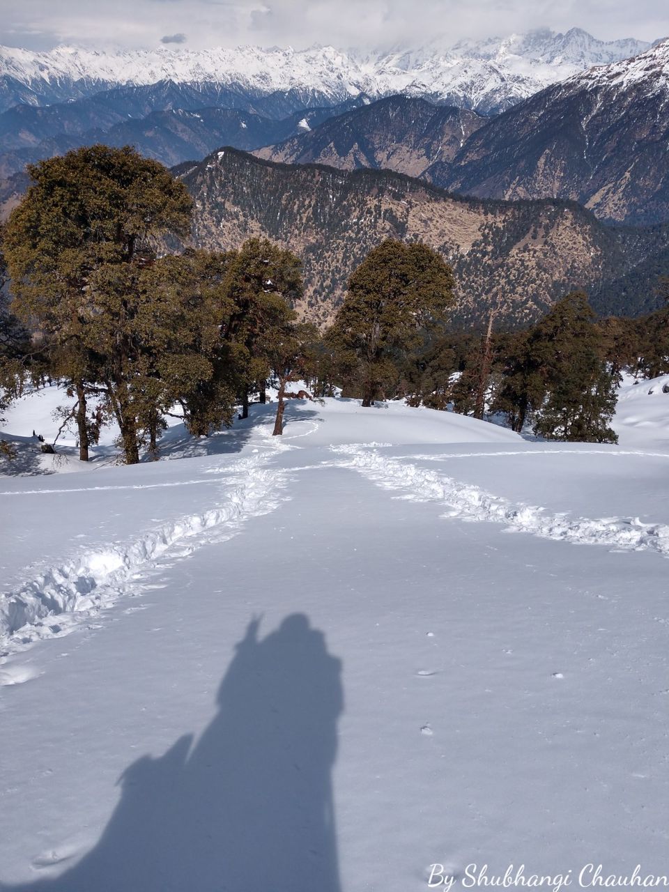 Photo of Winter Trek to Deoria Tal, Chopta, Tungnath and Chandrashila by Shubh